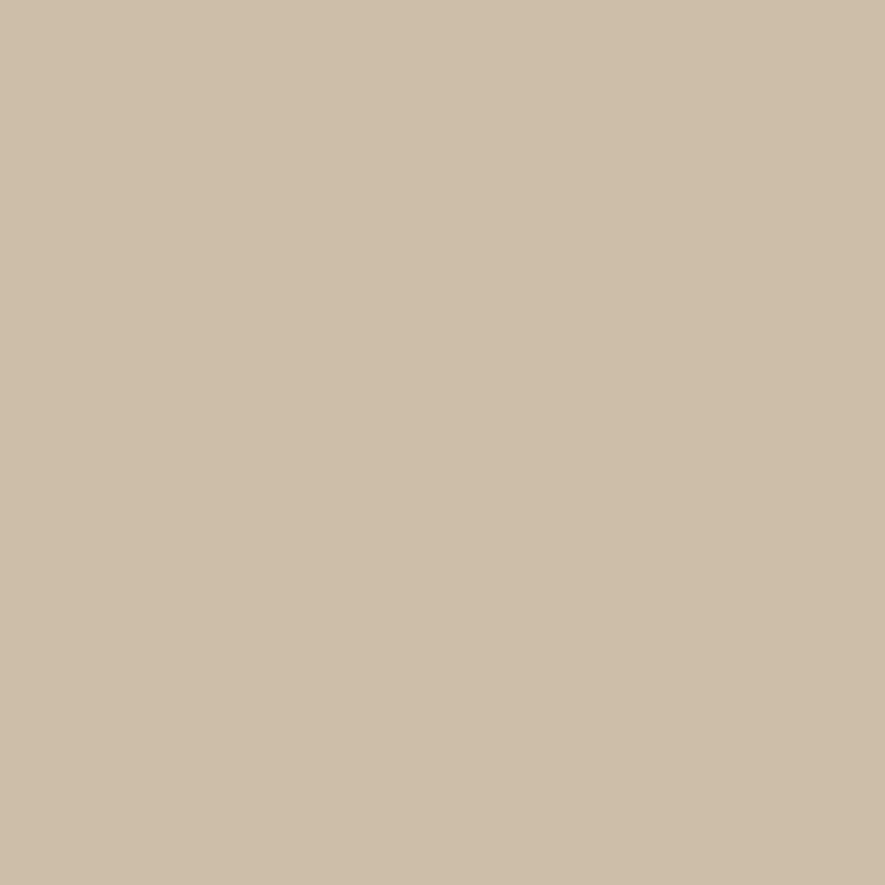 Canvas Pull-On Pants - Image 7