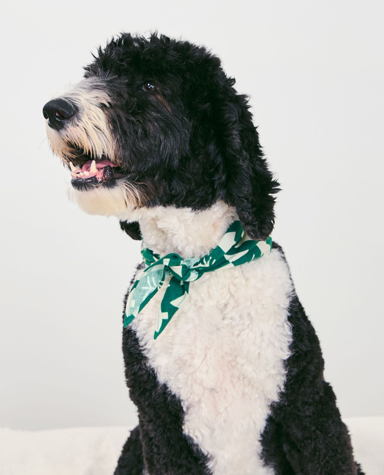 Holiday Flannel Dog Bandana - Image 17